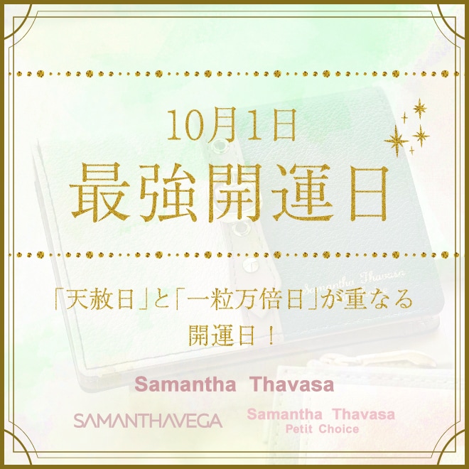 stayc サマンサ Samantha チェキトレカ Samantha Thavasa Petit Choice | サマンサタバサ公式オンラインショップ