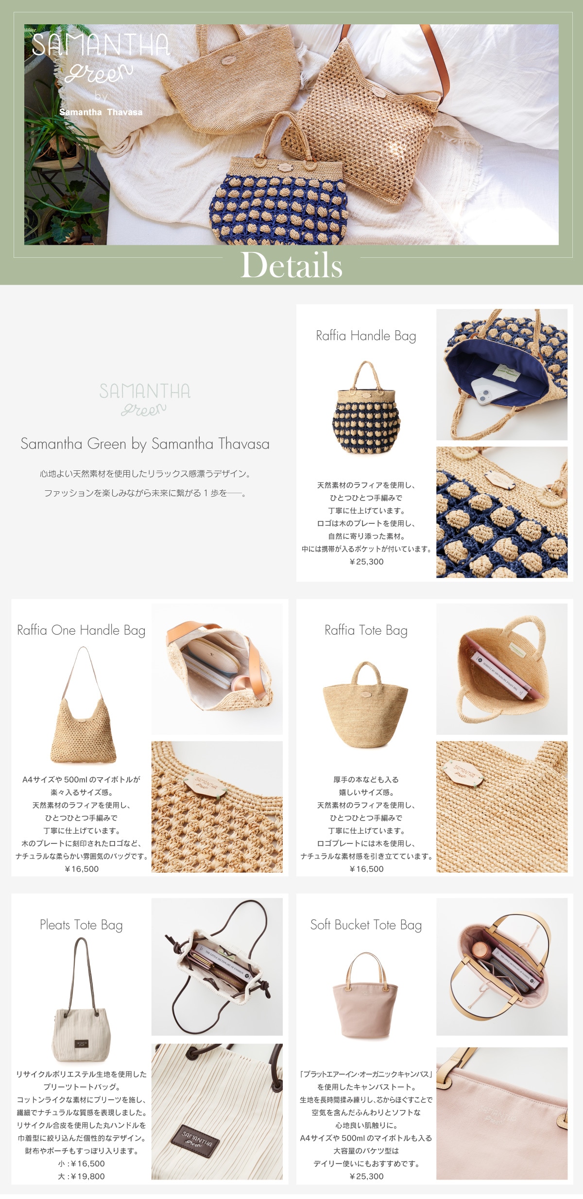 【ST】2022_グリーン解剖_01