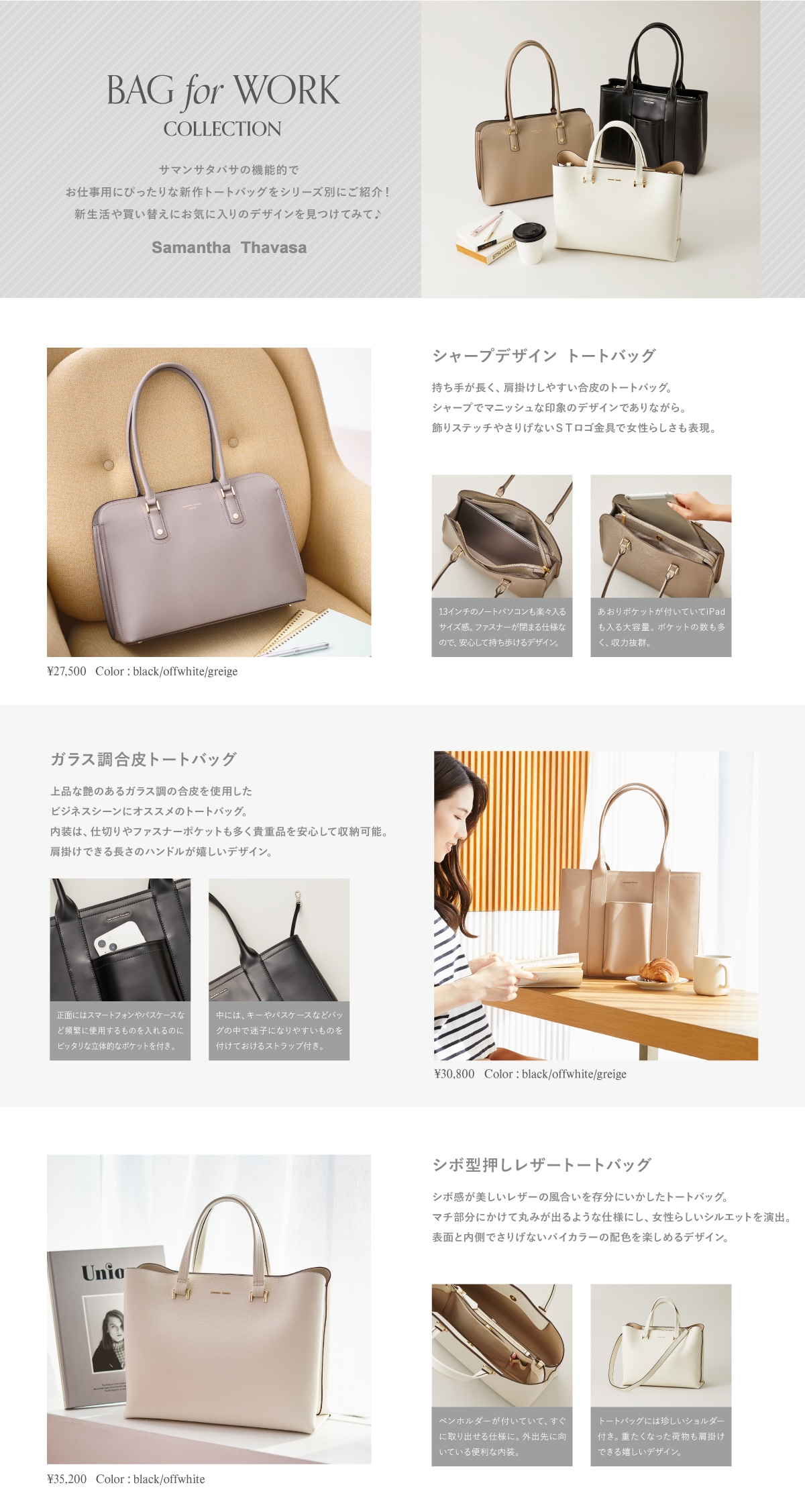 【ST】2023_フレッシャーズ解剖_01