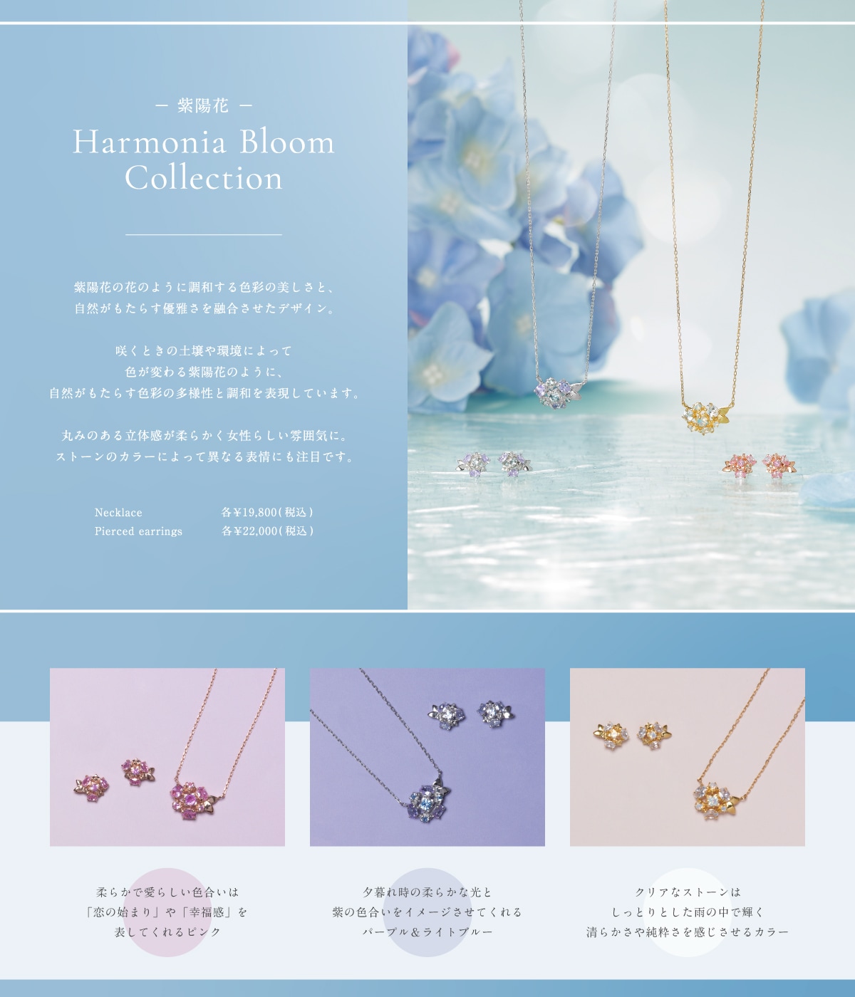 【TR】2025_あじさい