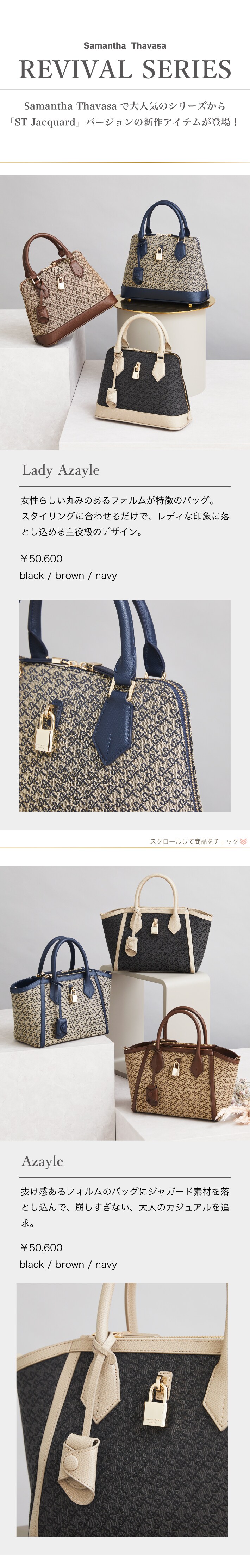 【ST】2022_ジャガードアルシブ解剖_01