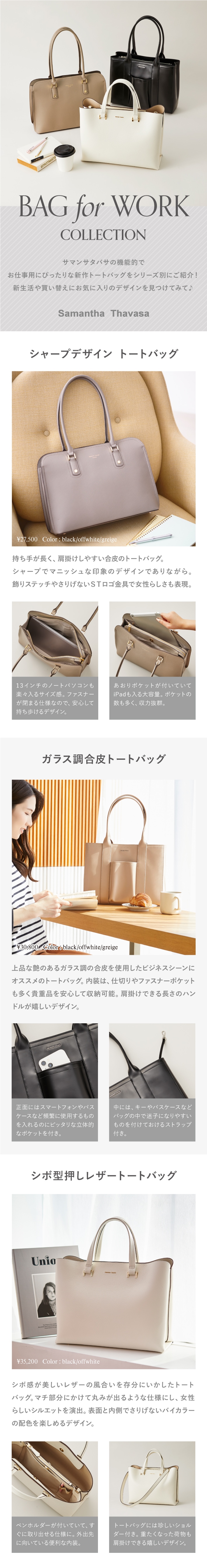 【ST】2023_フレッシャーズ解剖_01