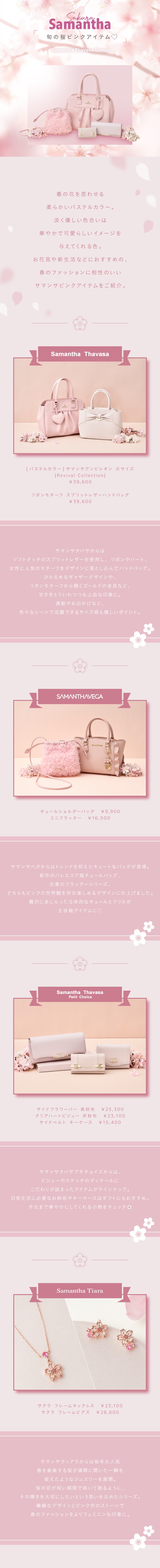 【ALL】2025_サクラ_01