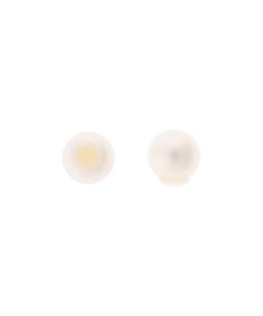 ホワイト