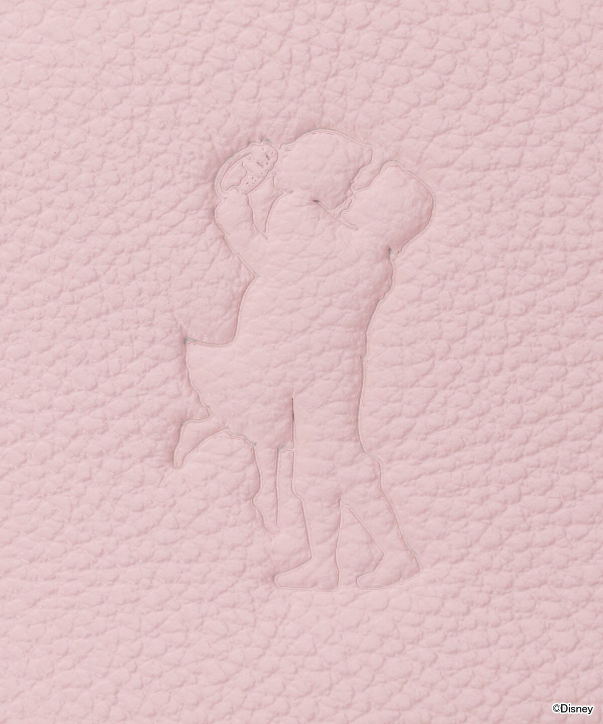 ディズニーコレクション プリンセスシリーズ パスケース Free ラプンツェル Samantha Thavasa Petit Choiceサマンサタバサ公式オンラインショップ