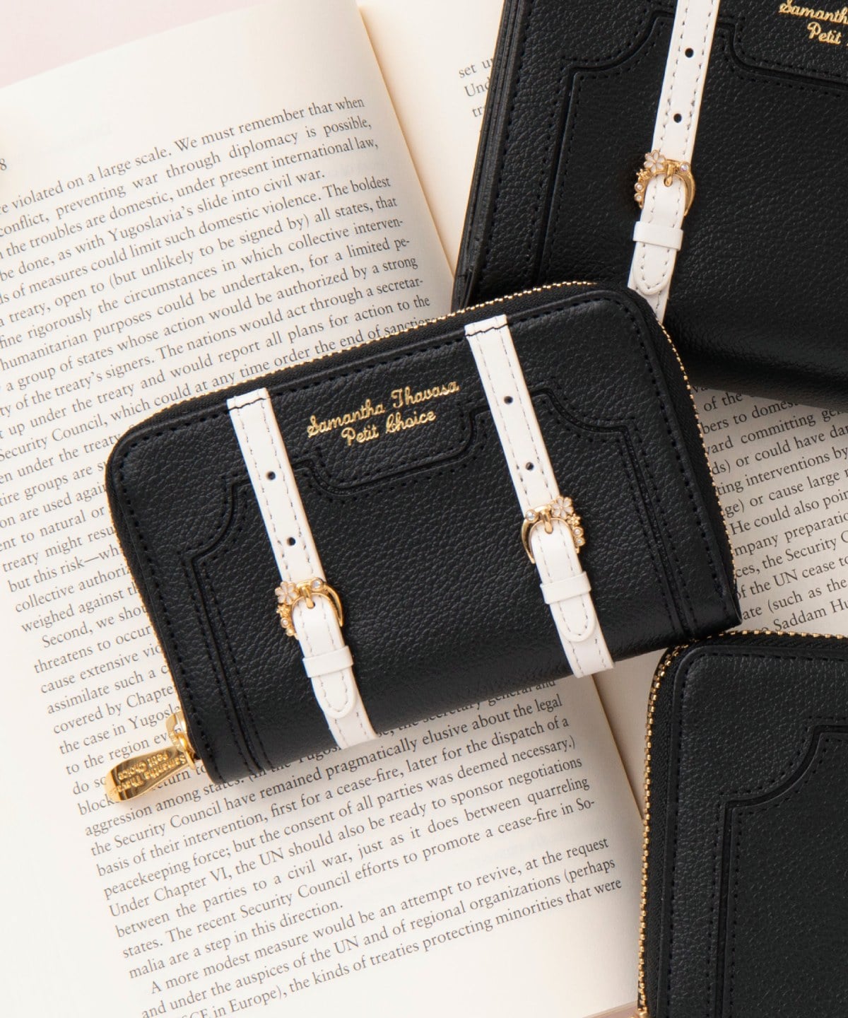 トロッターケースモチーフ マルチケース