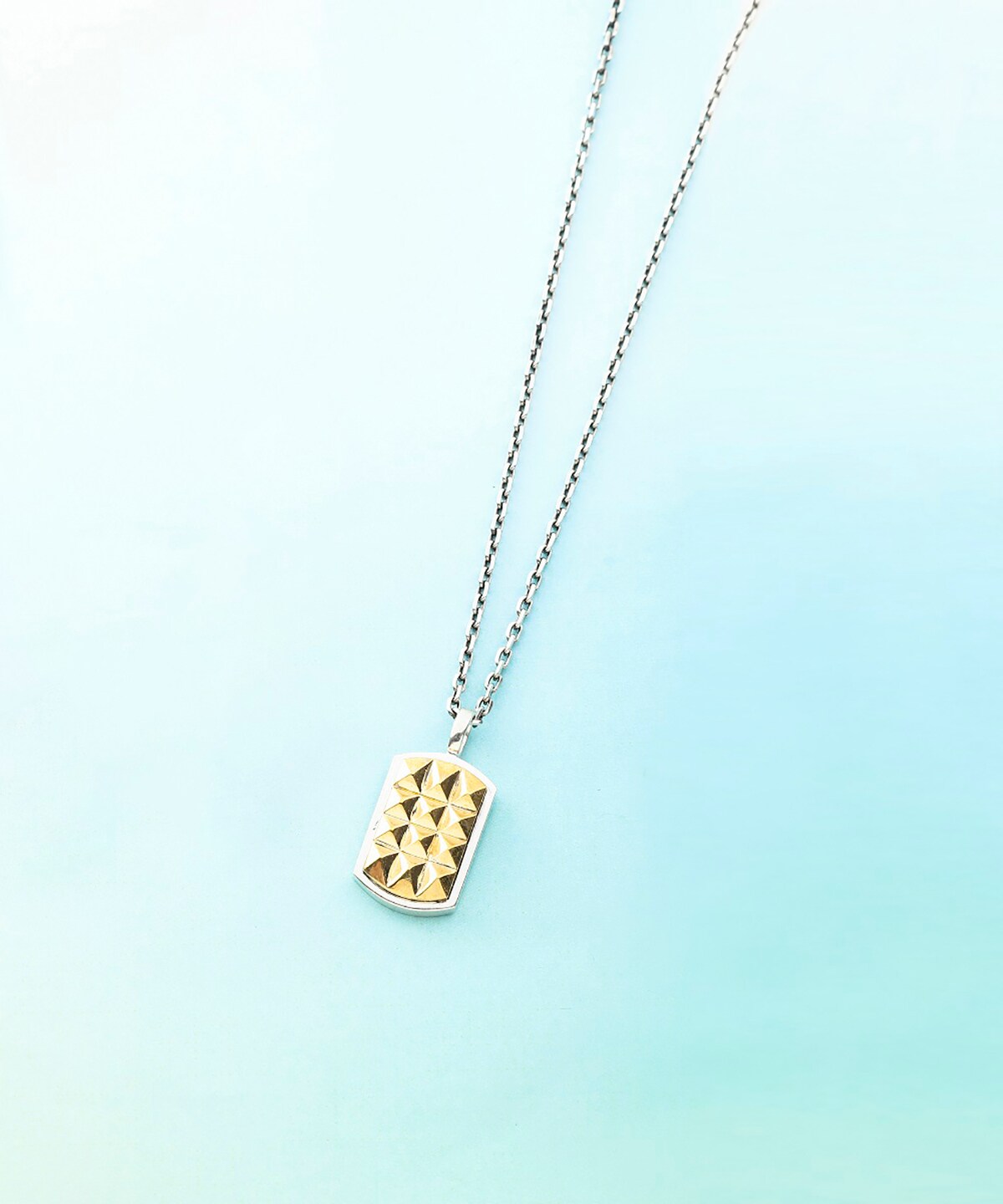 コンビカラー ドッグタグネックレス