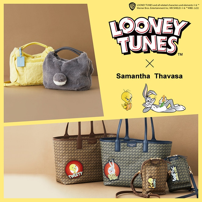 LOONEY TUNES COLLECTION